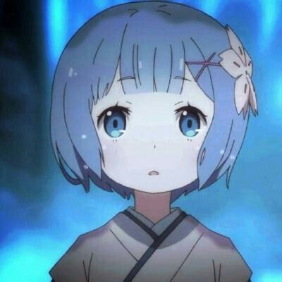 韩汶栩 在红树林吹号的鹦鹉鱼